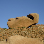 Ploumanach - 49