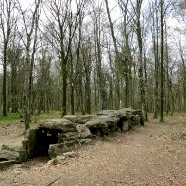 Allée couverte - Fôret du Mesnil
